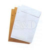 White Envelope 白色公文袋