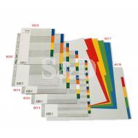 Bantex PP Colour Divider 塑膠顏色索引分類